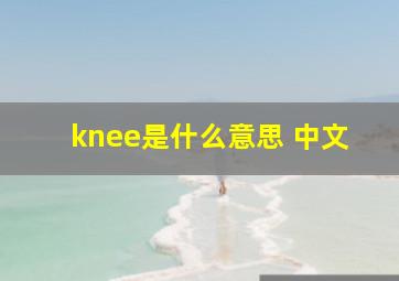 knee是什么意思 中文